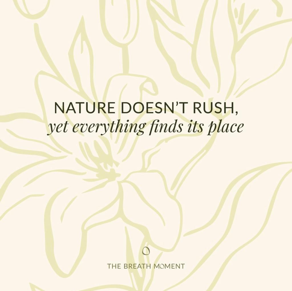 The Breath Moment – Yoga, Breathwork & Meditation Classes Moraira