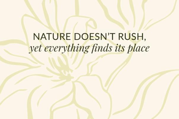 The Breath Moment – Yoga, Breathwork & Meditation Classes Moraira