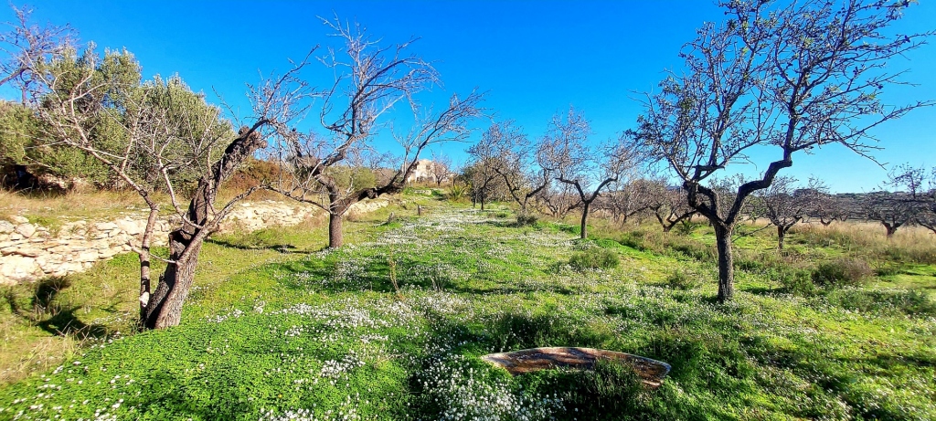 3 bed finca in Benissa