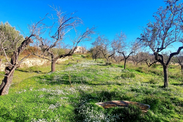 3 bed finca in Benissa