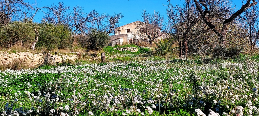 3 bed finca in Benissa