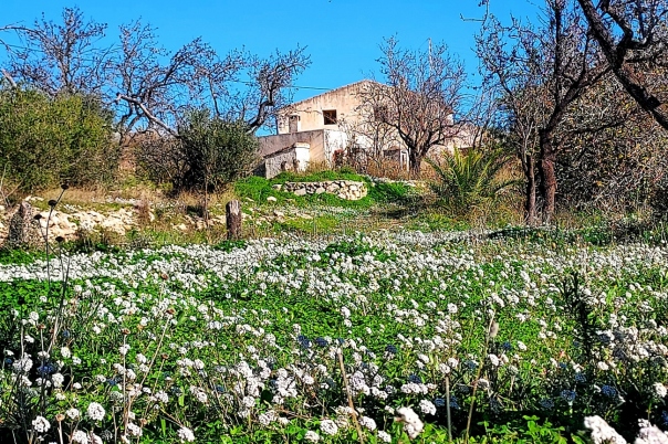3 bed finca in Benissa
