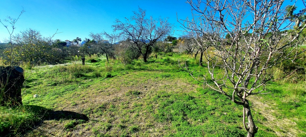 3 bed finca in Benissa