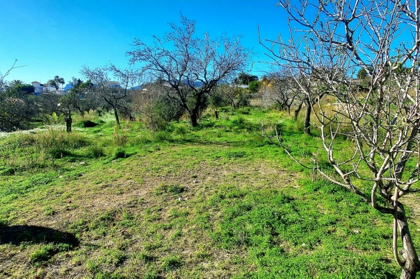 3 bed finca in Benissa