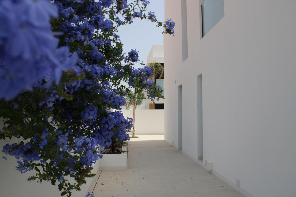 3 bed villa in Pilar de la Horadada