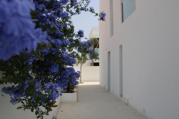 3 bed villa in Pilar de la Horadada
