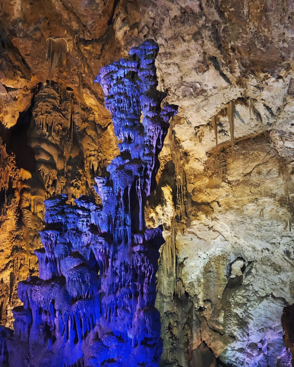 Cova dels Canelobres/Canelobre Caves
