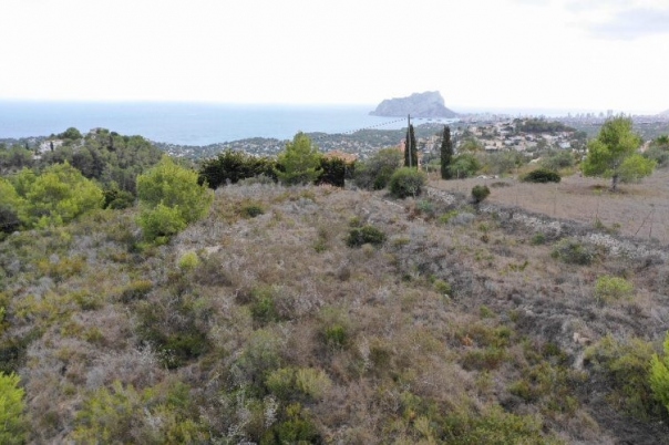 plot in Teulada