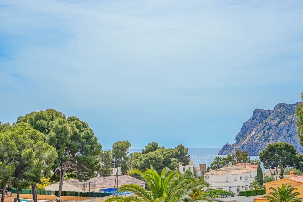 16 bed commercial_premises in Calpe