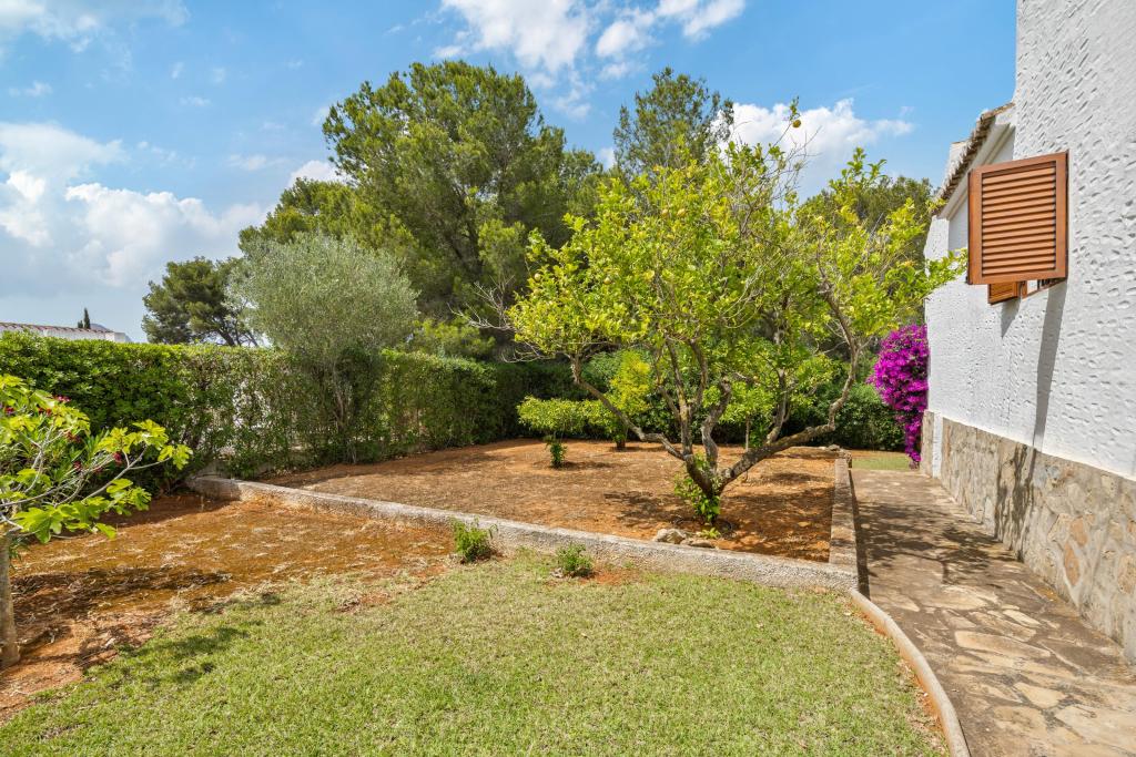 6 bed villas in Javea