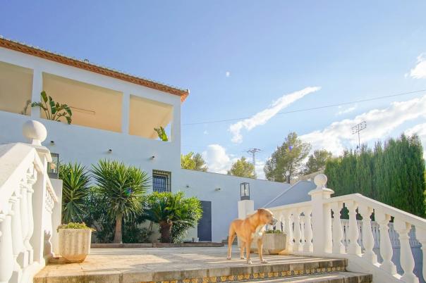 6 bed villa in Denia