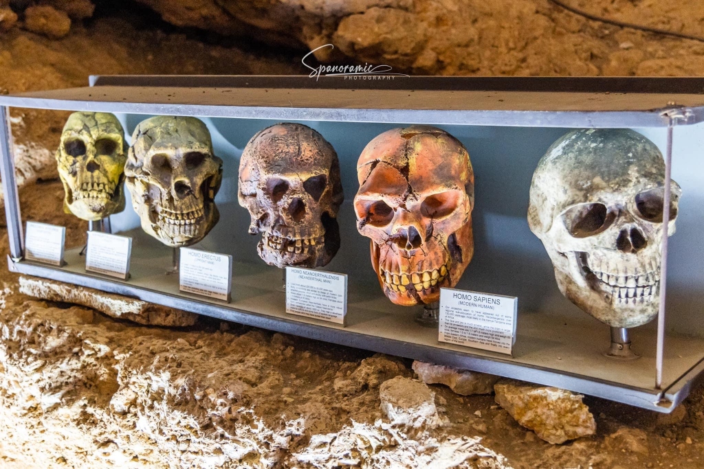 Cueva de las Calaveras Benidoleig - Cave of the Skulls