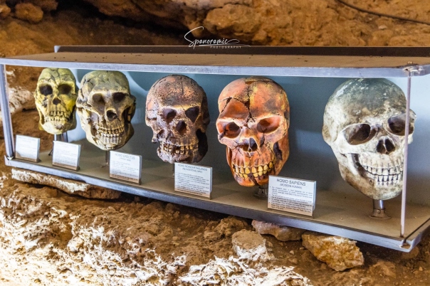 Cueva de las Calaveras Benidoleig - Cave of the Skulls