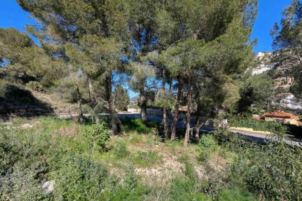 3 bed villa in Pedreguer
