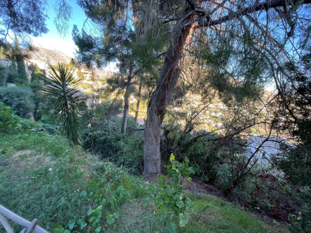 plot in Calpe