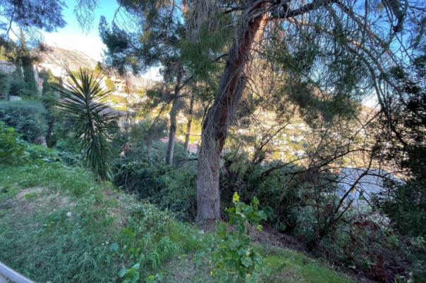 plot in Calpe