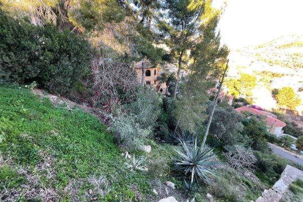 plot in Calpe