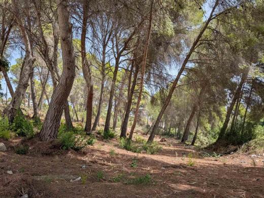 plot in Moraira