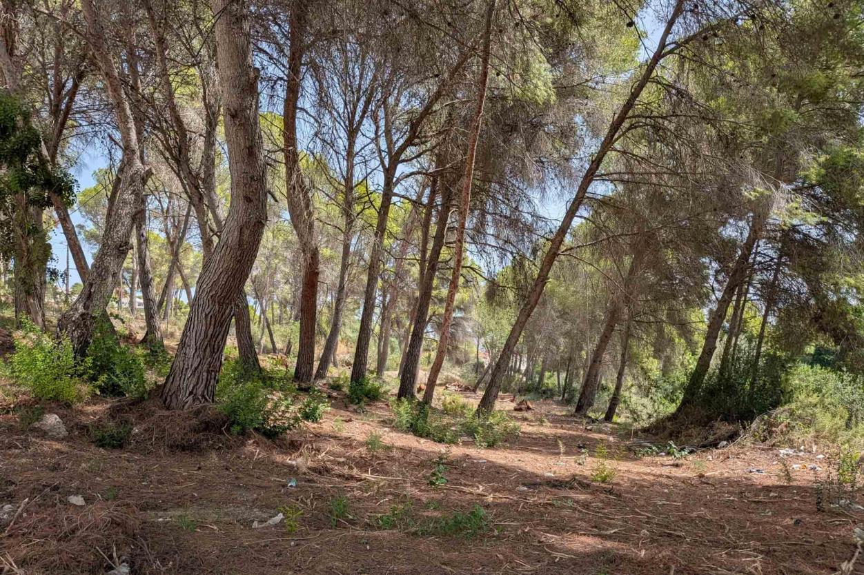 plot in Moraira