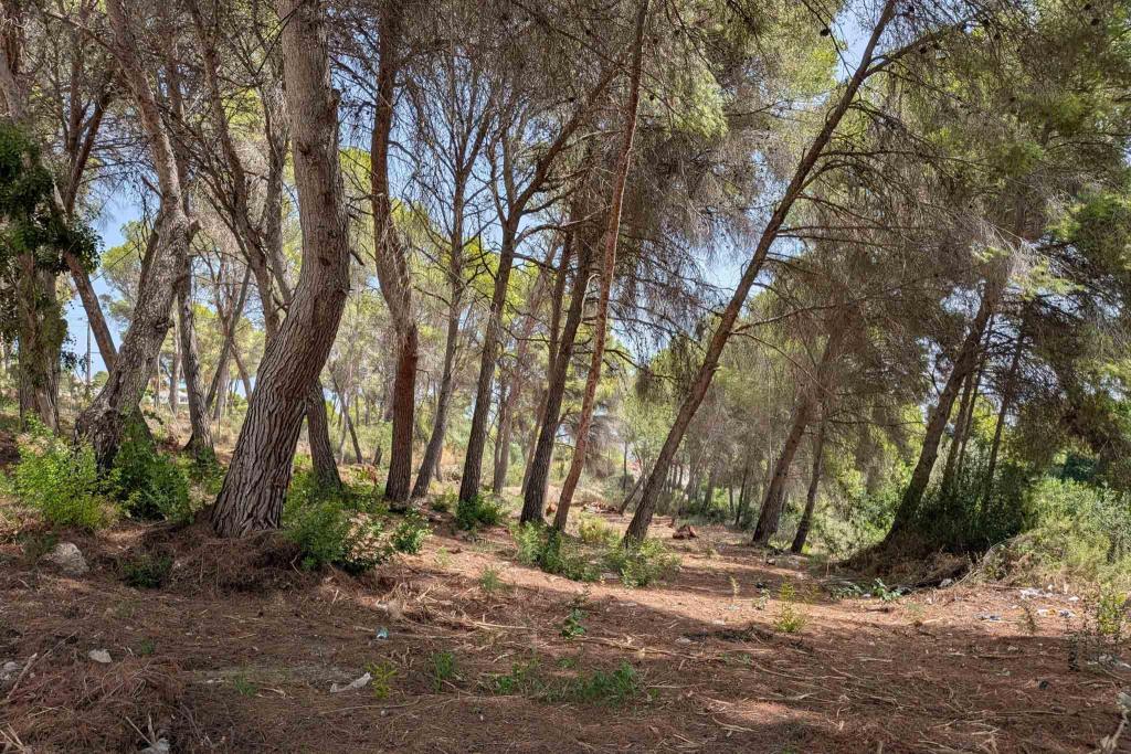 plot in Moraira