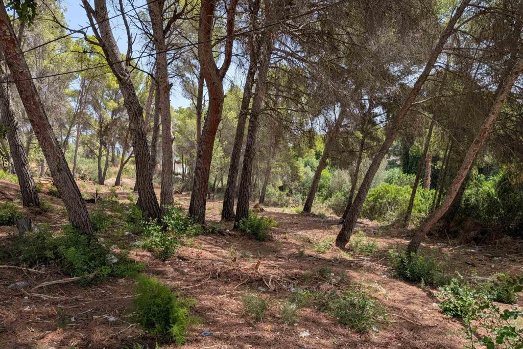plot in Moraira