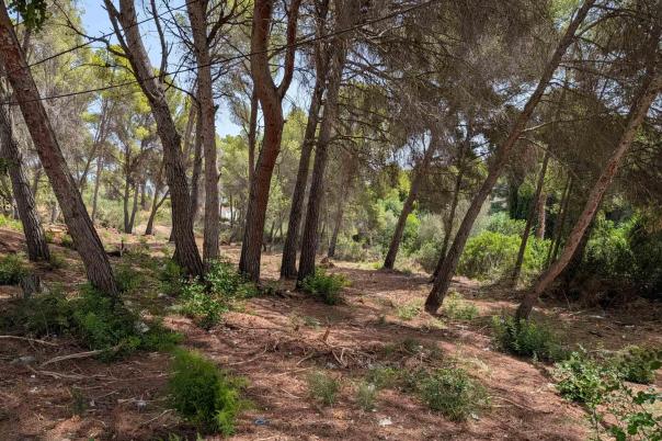 plot in Moraira