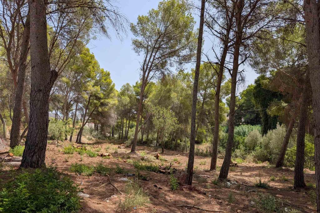 plot in Moraira