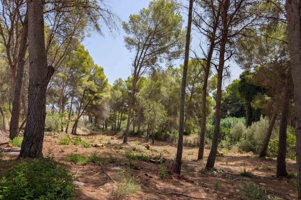 plot in Moraira