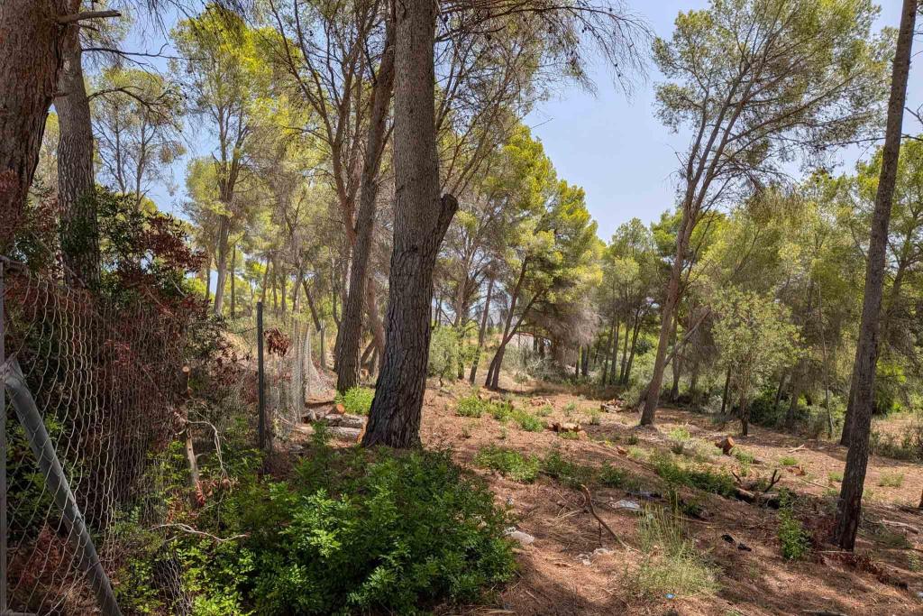 plot in Moraira