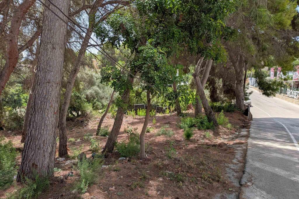 plot in Moraira