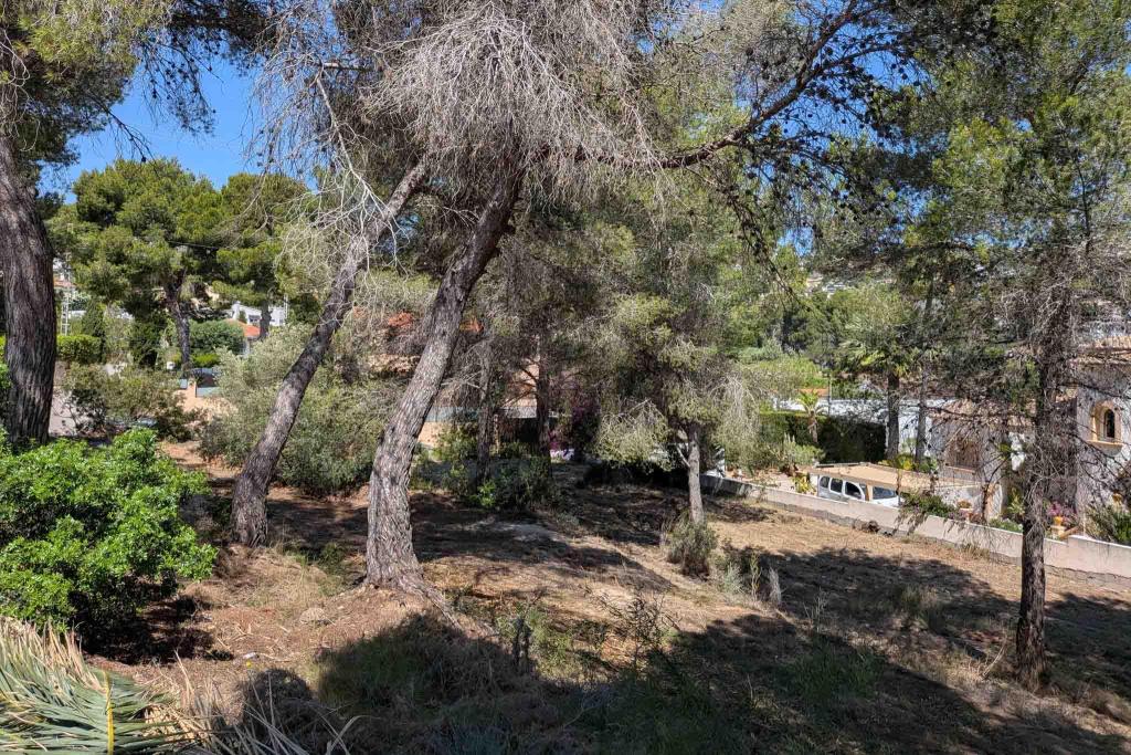 plot in Moraira