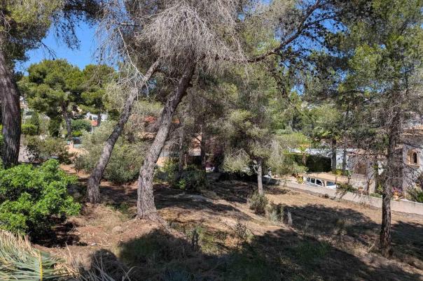 plot in Moraira