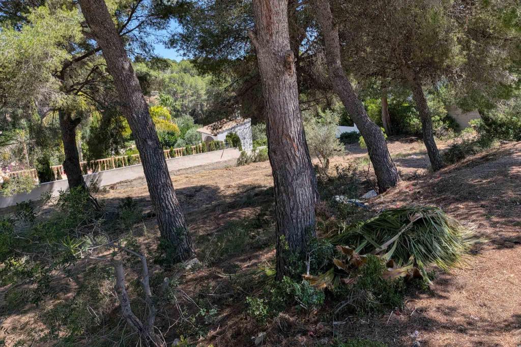 plot in Moraira