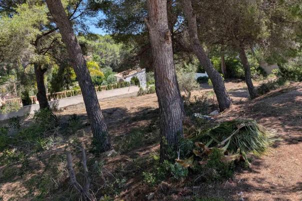 plot in Moraira