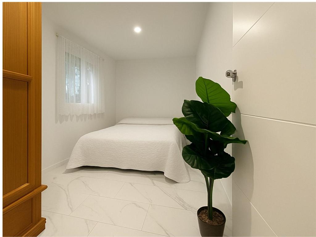 5 bed villas in Denia