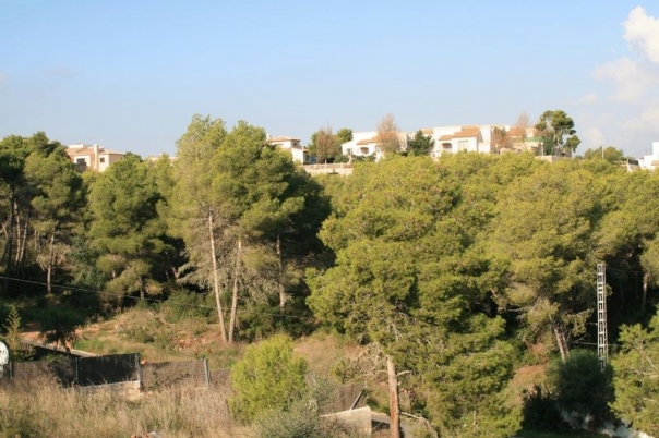 plot in Javea