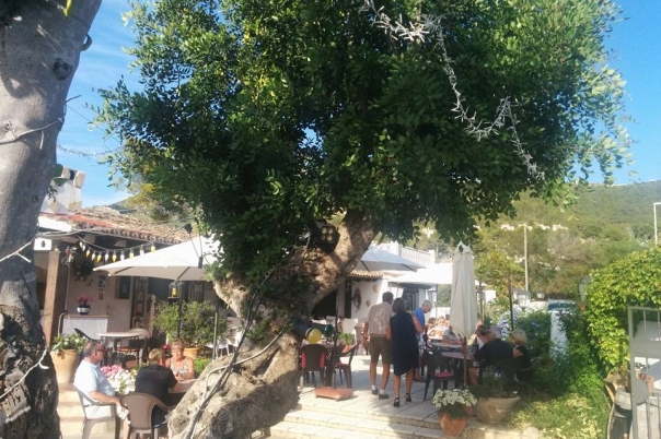 Rusty's Bar & Restaurant