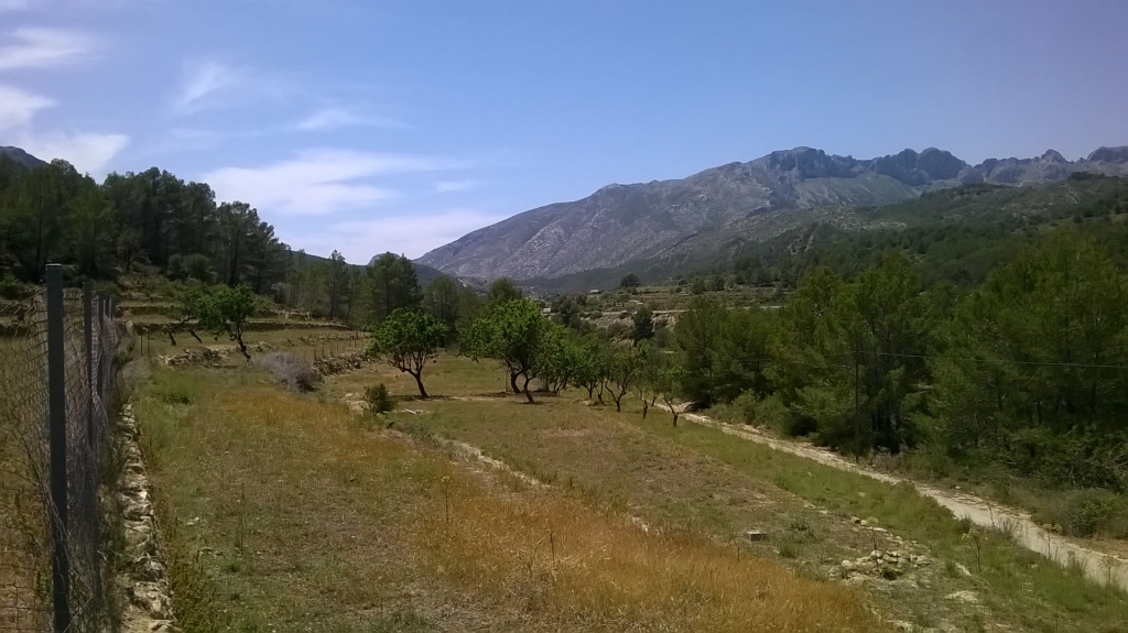 plot in Benissa