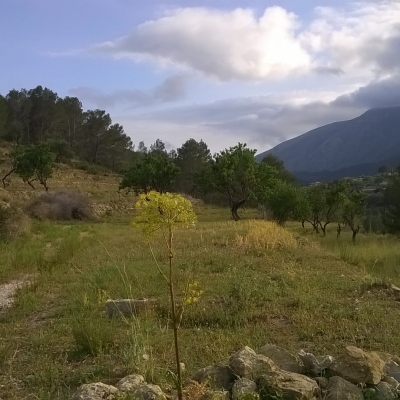 plot in Benissa