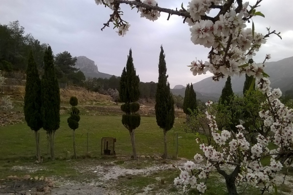 plot in Benissa
