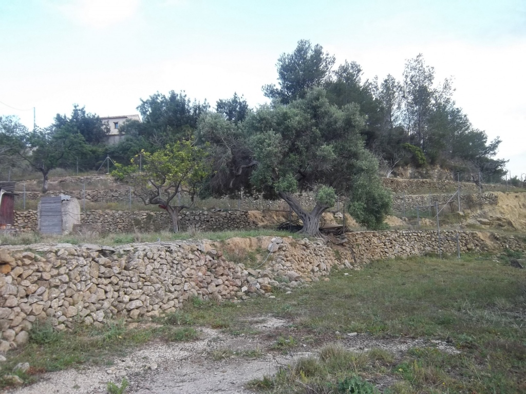 plot in Benissa