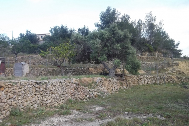 plot in Benissa