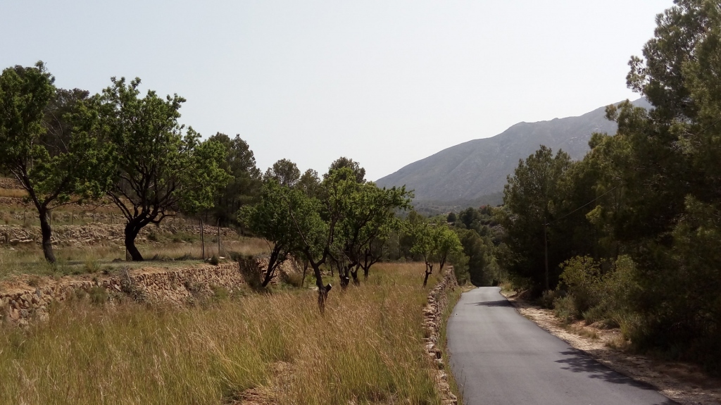 plot in Benissa