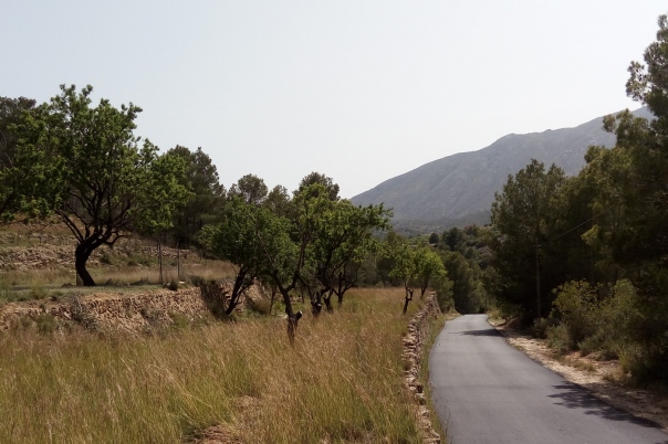 plot in Benissa