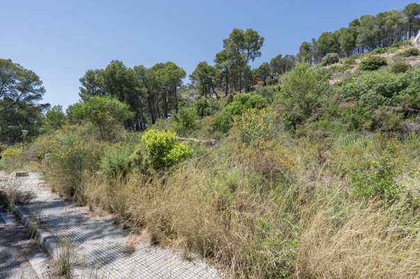 3 bed villa in Alcalalí