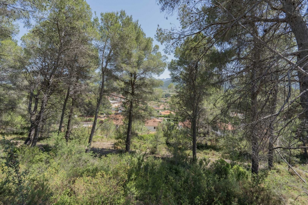 3 bed villa in Alcalalí