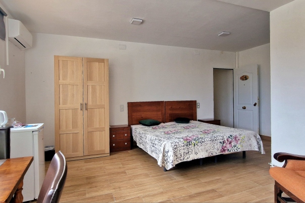 8 bed commercial premises in Denia