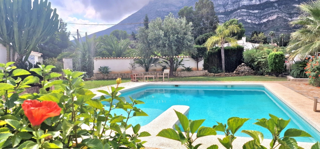 8 bed commercial premises in Denia
