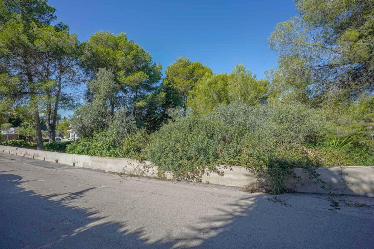 plot in Jávea