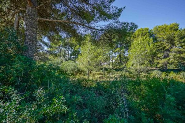 plot in Jávea